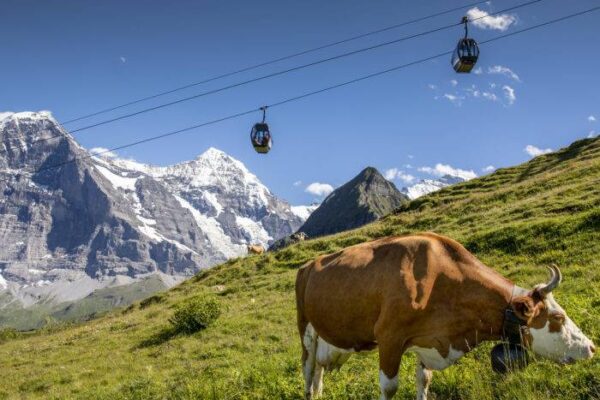 GRINDELWALD-MÄNNLICHEN GONDOLA CABLEWAY