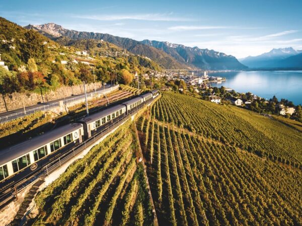 Swiss Half Fare Card