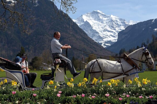 Horse-drawn carriage rides in Interlaken