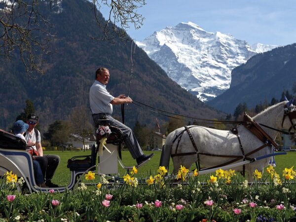 Horse-drawn carriage rides in Interlaken