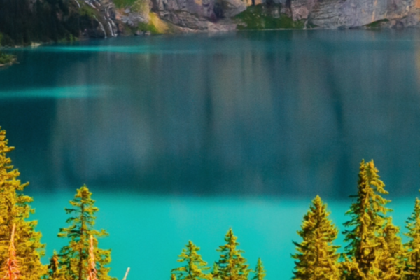 PRIVATE TOUR TO OESCHINENSEE & SUMMER TOBOGGAN RUN
